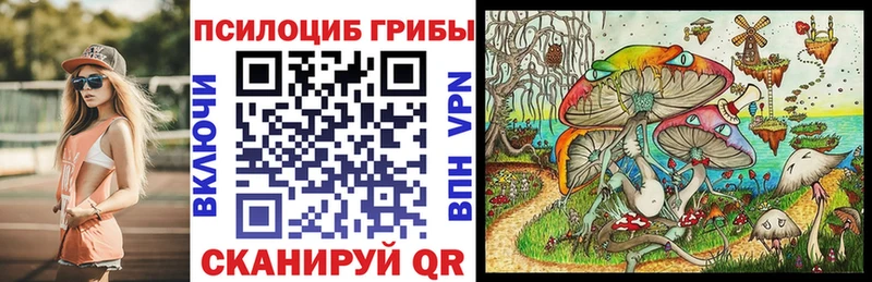 Псилоцибиновые грибы Cubensis  что такое   Чегем 